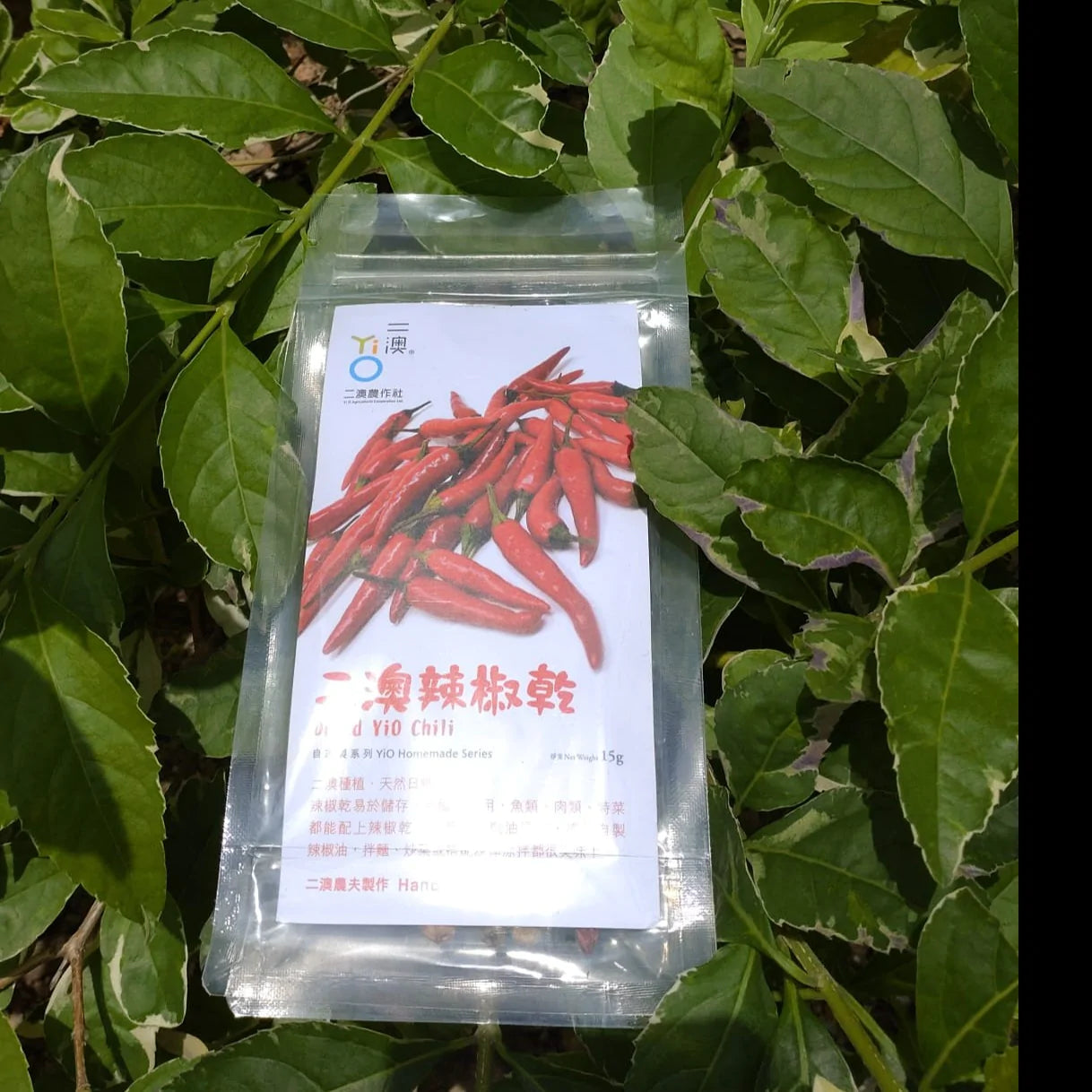 二澳 - 自家製辣椒乾