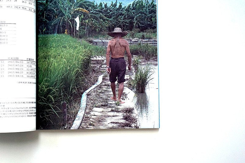 大地予我 - 【種稻的人：香港稻米生產的技術與傳承】
